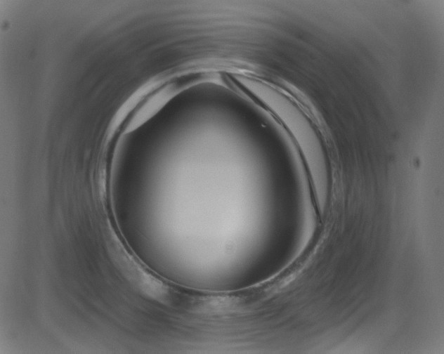 X0000081341188200701111416