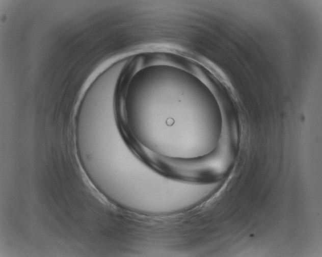 X0000081341192200701111416