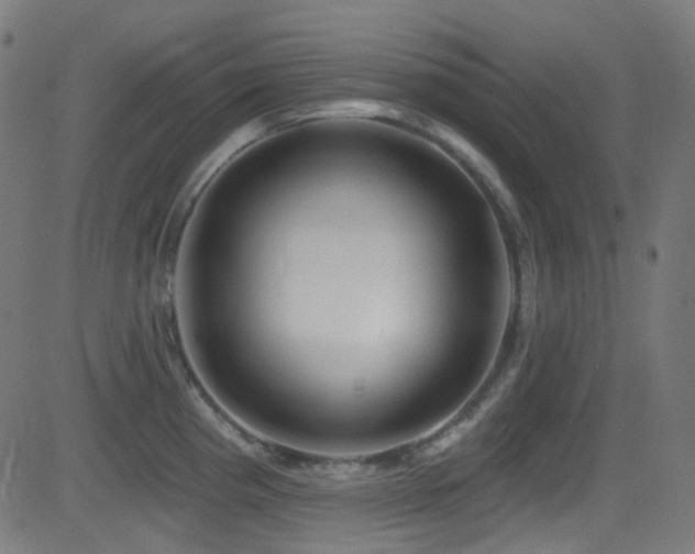 X0000081341193200701111416