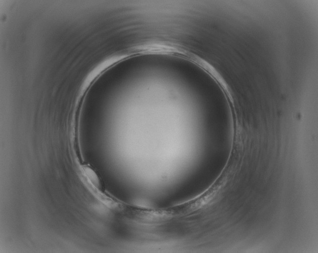 X0000081341195200701111416