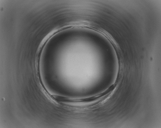X0000081341196200701111416