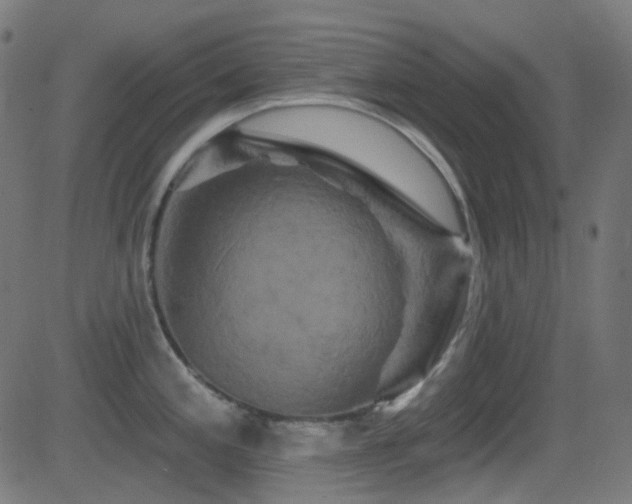 X0000081341197200701111416