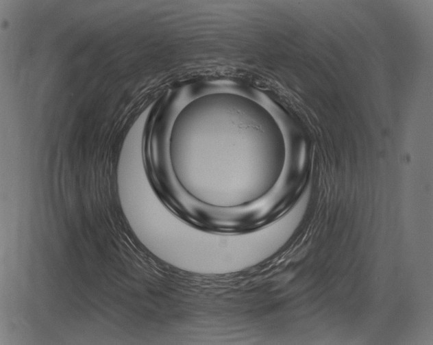 X0000081341202200701111415
