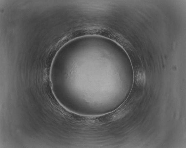 X0000081341204200701111415