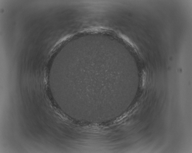 X0000081341206200701111415