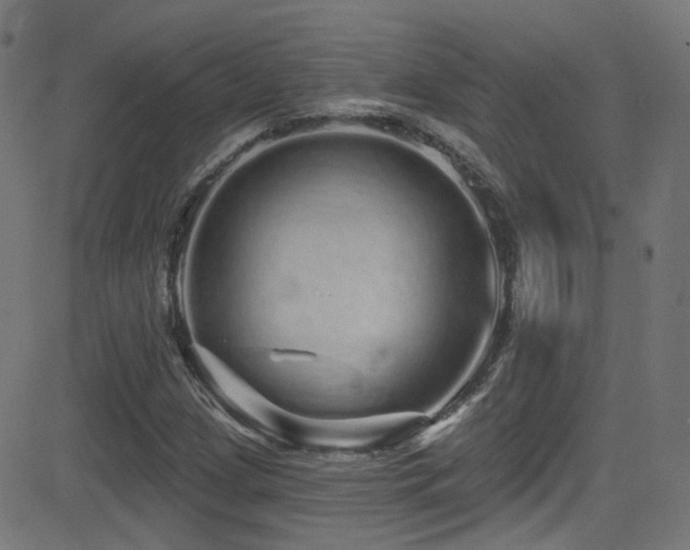 X0000081341209200701111415