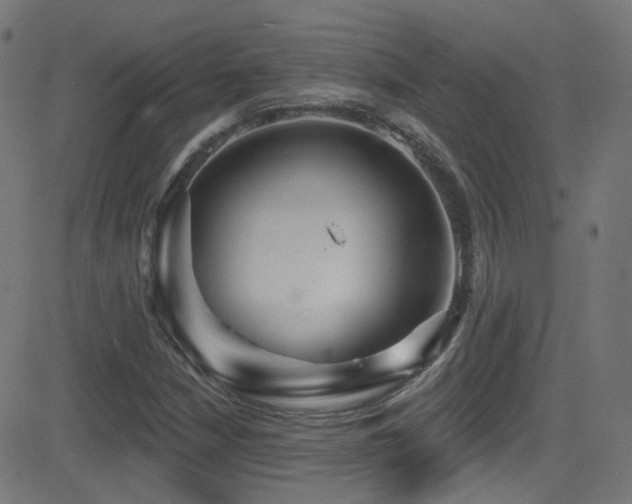 X0000081341210200701111415