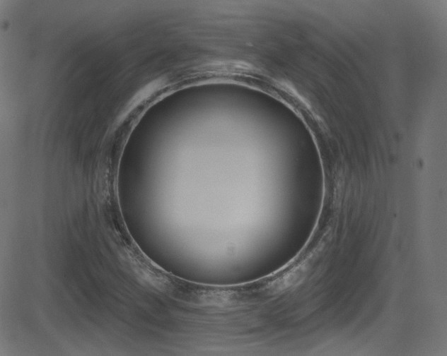 X0000081341211200701111415