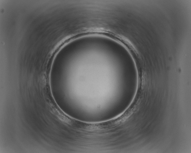 X0000081341212200701111415