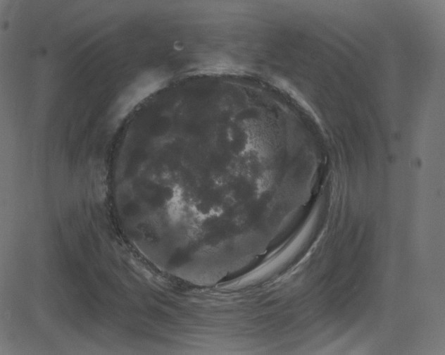 X0000081341213200701111415