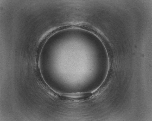 X0000081341214200701111415