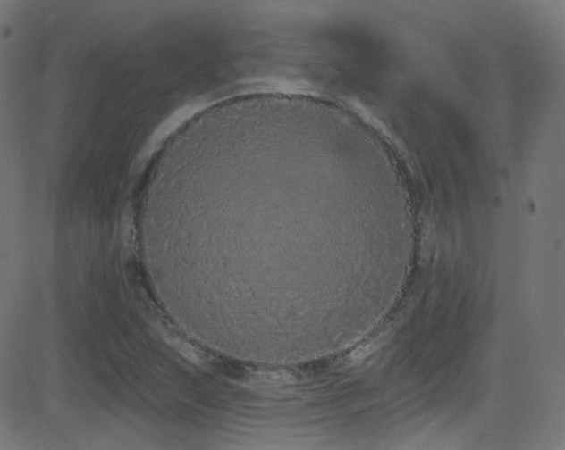 X0000081341215200701111415
