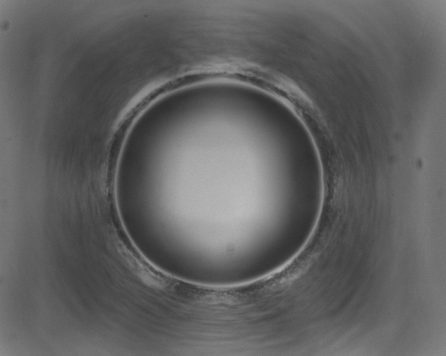 X0000081341216200701111416
