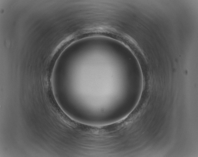 X0000081341218200701111416