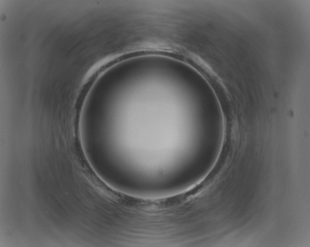 X0000081341222200701111416