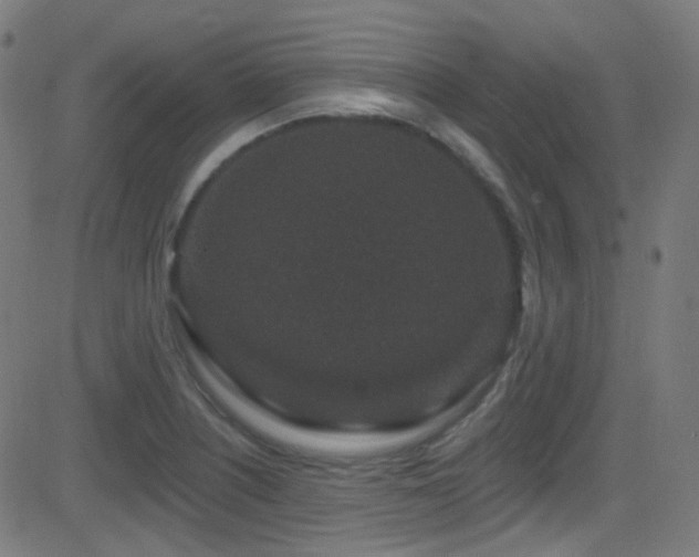 X0000081341226200701111416