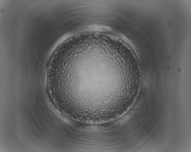 X0000081341227200701111416