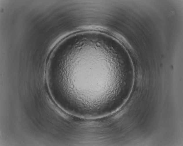 X0000081341228200701111416