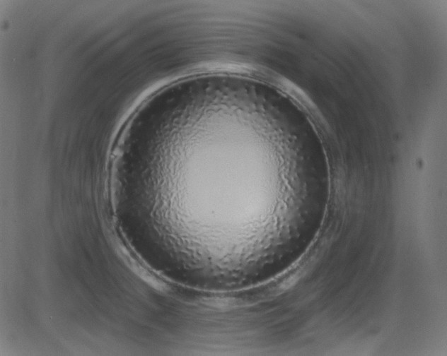 X0000081341236200701111416