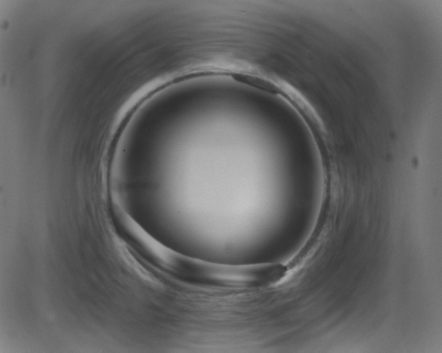 X0000081341238200701111416