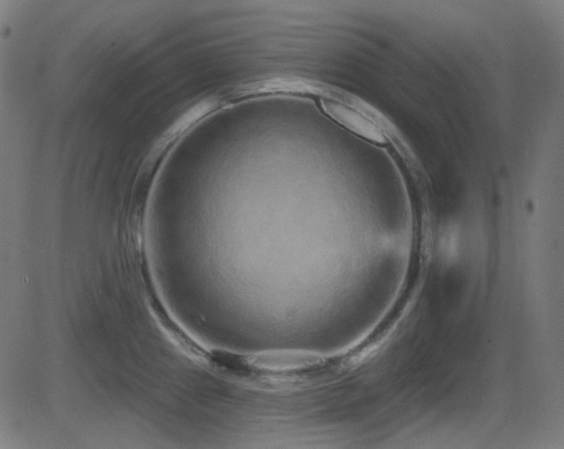 X0000081341241200701111416