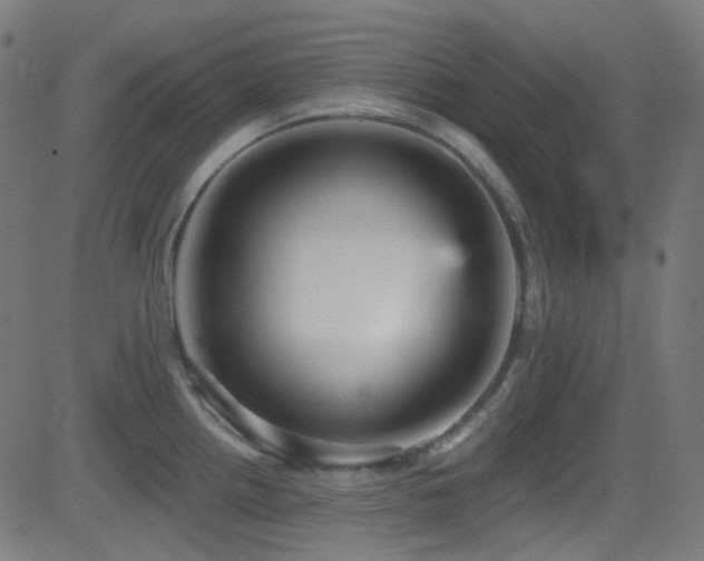 X0000081341242200701111416