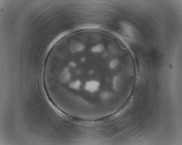 X0000081341245200701111416