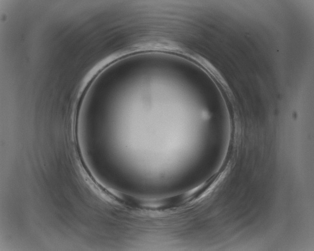 X0000081341246200701111416