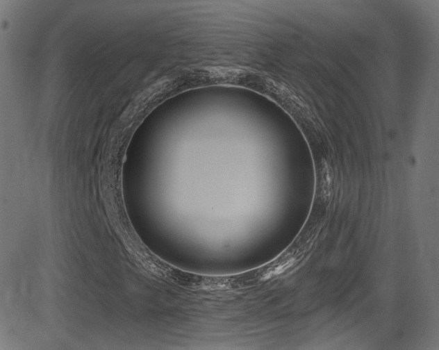 X0000081341249200701111415