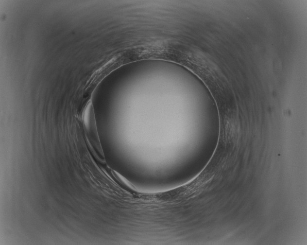 X0000081341250200701111415