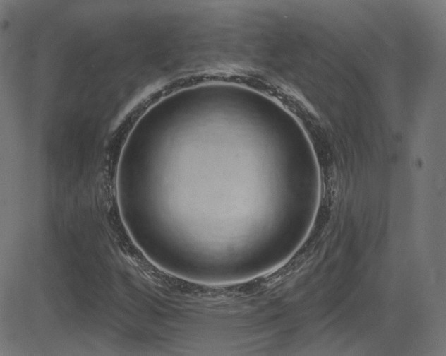 X0000081341256200701111415