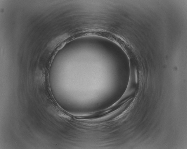 X0000081341257200701111415