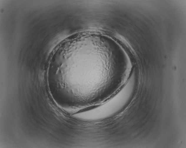 X0000081341260200701111415