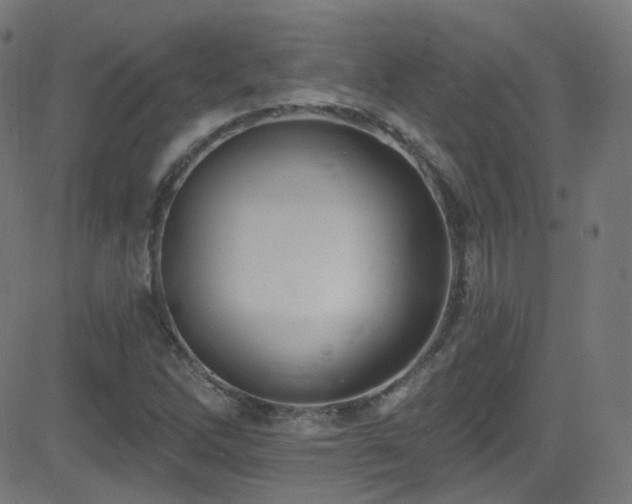 X0000081341262200701111415