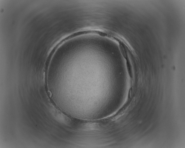 X0000081341268200701111415