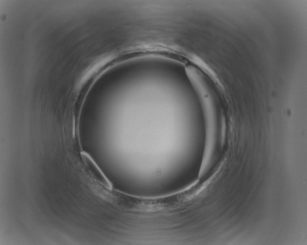 X0000081341269200701111415