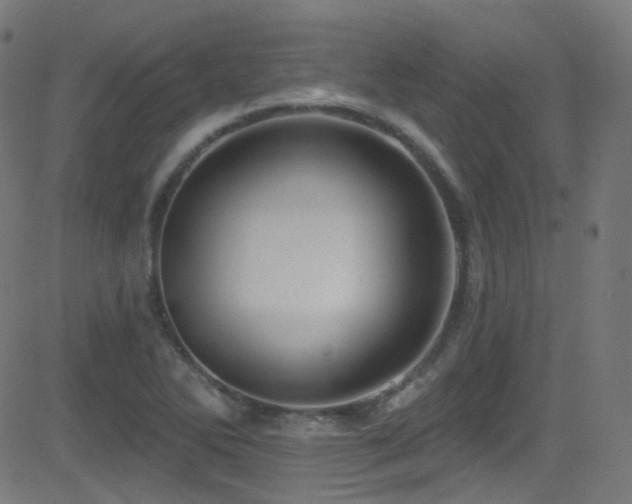 X0000081341270200701111415