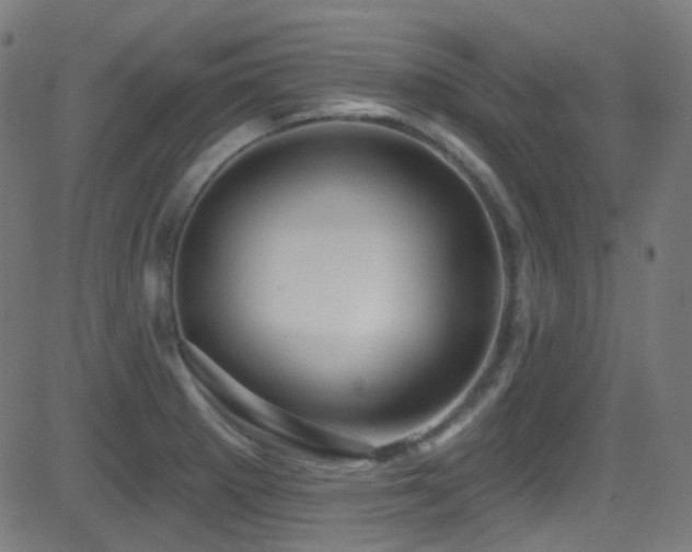X0000081341281200701111415