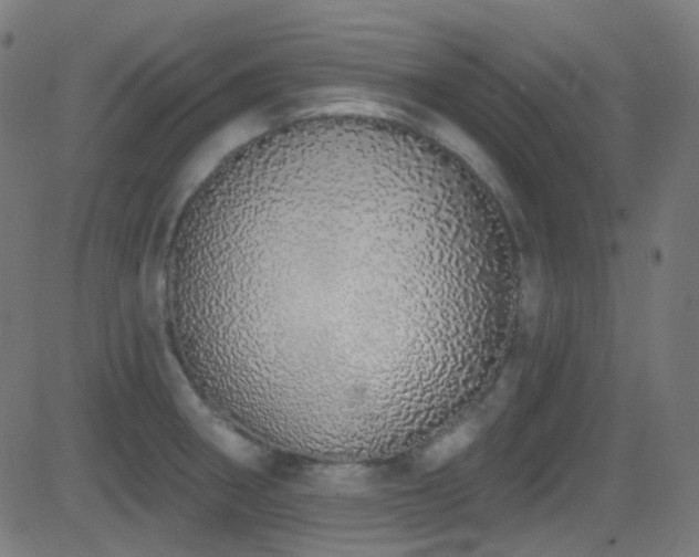 X0000081341282200701111415