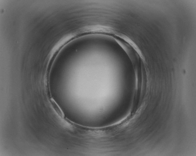 X0000081341285200701111415