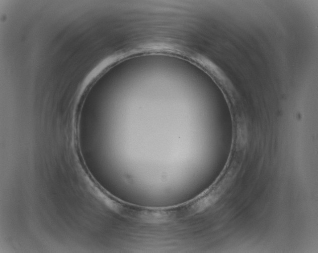 X0000081341286200701111415