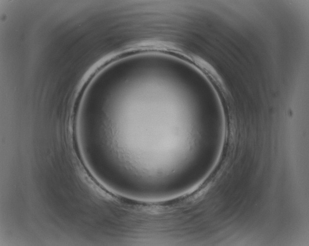 X0000081341288200701111415