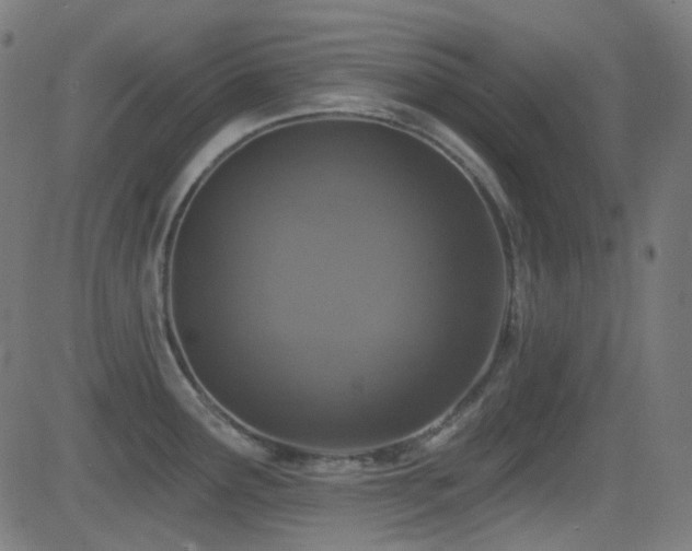 X0000081341291200701111415