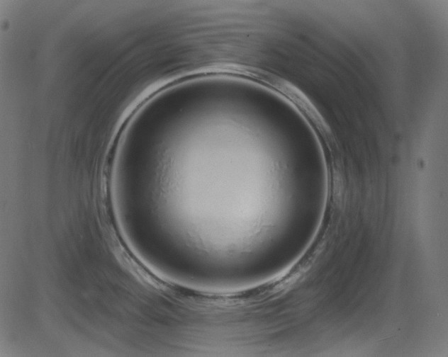 X0000081341292200701111415