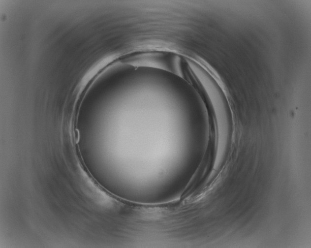 X0000081341293200701111415