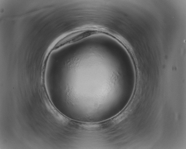 X0000081341296200701111414