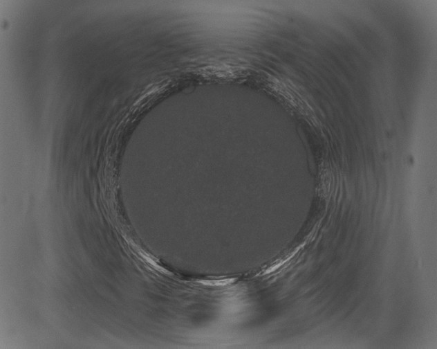 X0000081341297200701111414