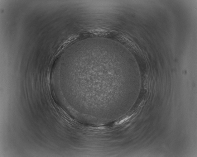X0000081341298200701111414