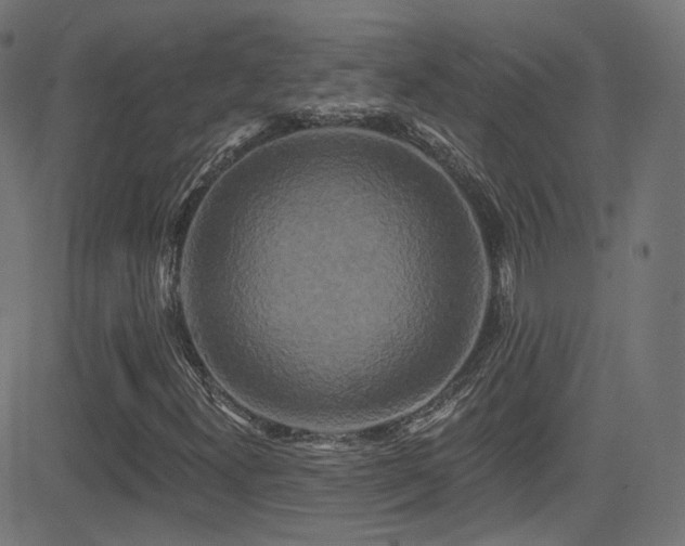 X0000081341300200701111414