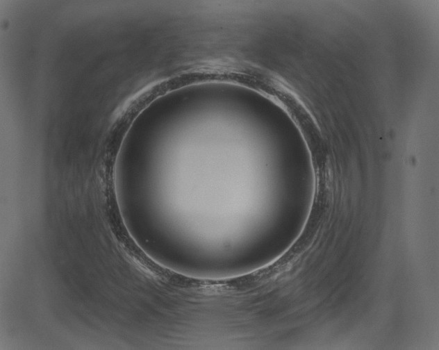 X0000081341304200701111414